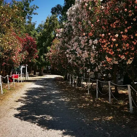 Pitagora キャンプ場 *