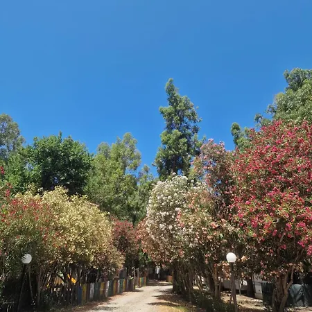 キャンプ場 Pitagora